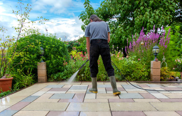 Best Sidewalk and Walkway Cleaning  in Gatlinburg, TN